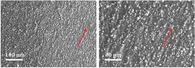 Magneto-Sensitive Rubber in a Vehicle Application Context – Exploring the Potential